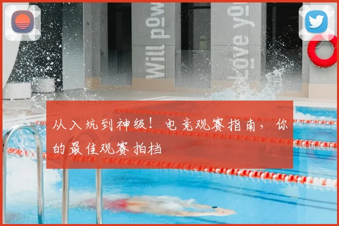 从入坑到神级！电竞观赛指南，你的最佳观赛拍档